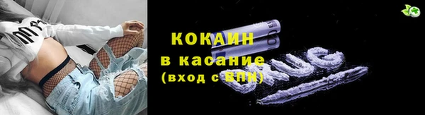 mdpv Новозыбков