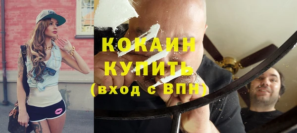 mdpv Новозыбков